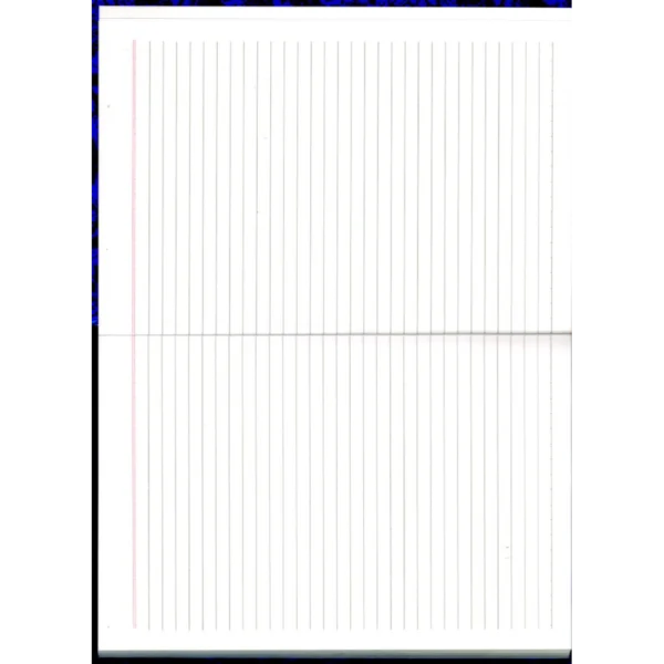 سجل رسمي