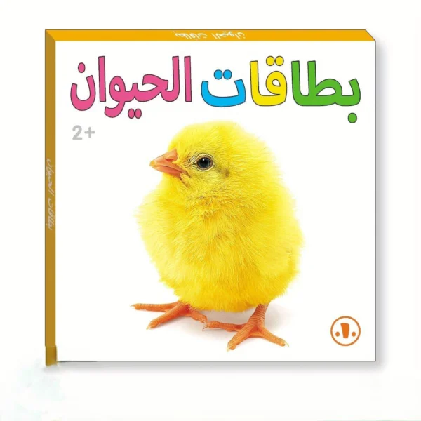 بطاقات تعليمية حيوانات